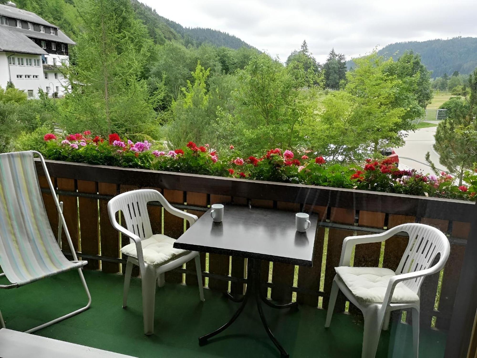 Naturidyll Am Fluss - Ferienhaus Albmatte - Grosser Garten Zum Grillen Und Entspannen-Direkt Neben Dem Radon Revitalbad Mit Sauna Und Thermalbecken Санкт-Блазін Екстер'єр фото