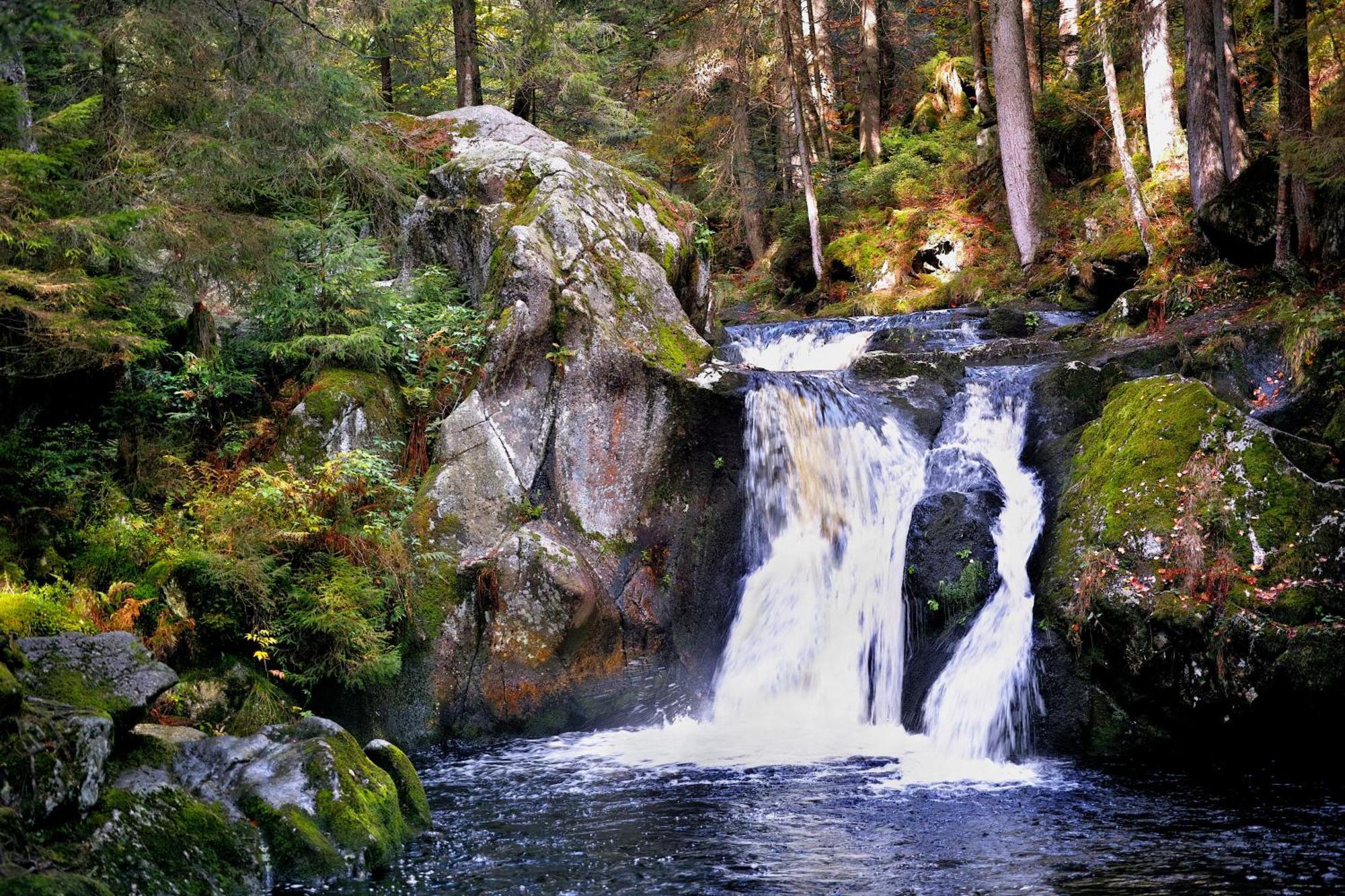 Naturidyll Am Fluss - Ferienhaus Albmatte - Grosser Garten Zum Grillen Und Entspannen-Direkt Neben Dem Radon Revitalbad Mit Sauna Und Thermalbecken Санкт-Блазін Екстер'єр фото