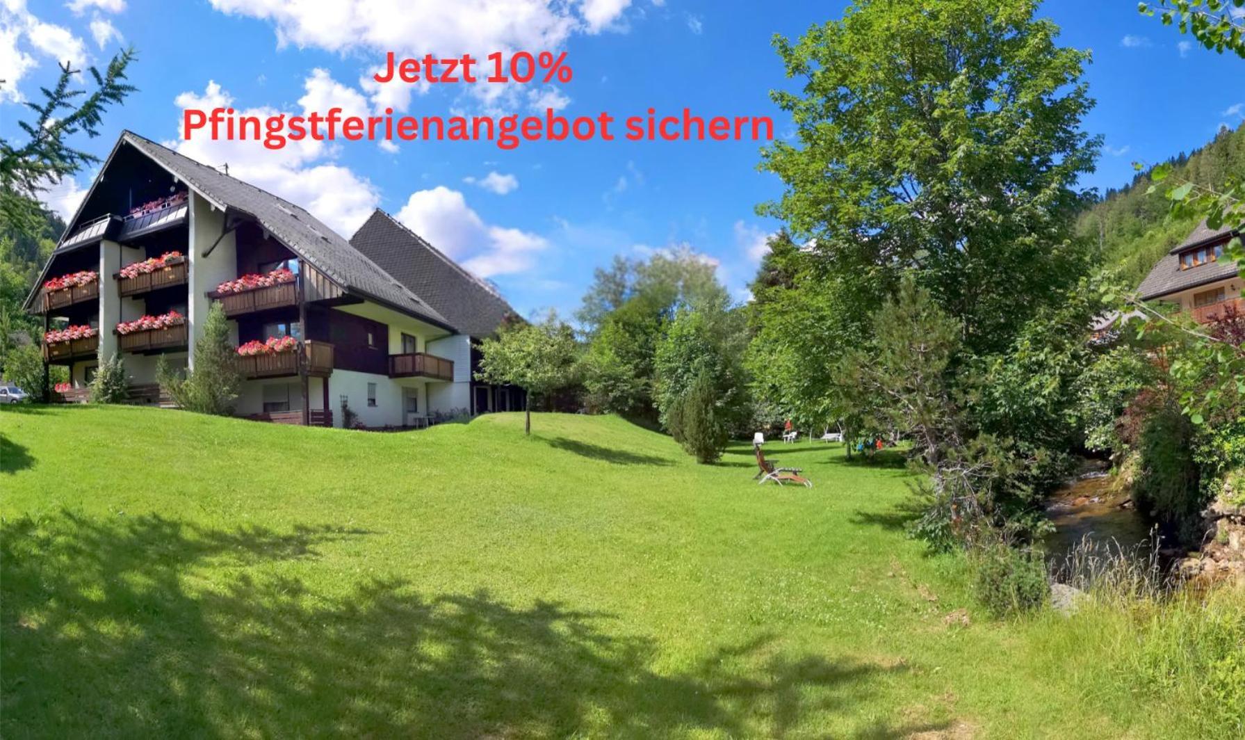 Naturidyll Am Fluss - Ferienhaus Albmatte - Grosser Garten Zum Grillen Und Entspannen-Direkt Neben Dem Radon Revitalbad Mit Sauna Und Thermalbecken Санкт-Блазін Екстер'єр фото